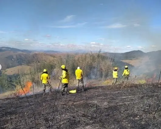 Equipes apagando fogo na mata