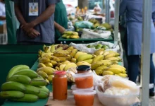 Produtos da agricultura familiar à venda em feira local de Mangaratiba