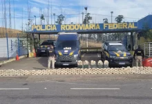 Policiais rodoviários federais e cães farejadores da PRF ao lado dos mais de 500 quilos de pasta base de cocaína apreendidos na Dutra
