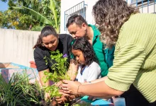 Três adultos ajudando uma criança a plantar uma muda de planta