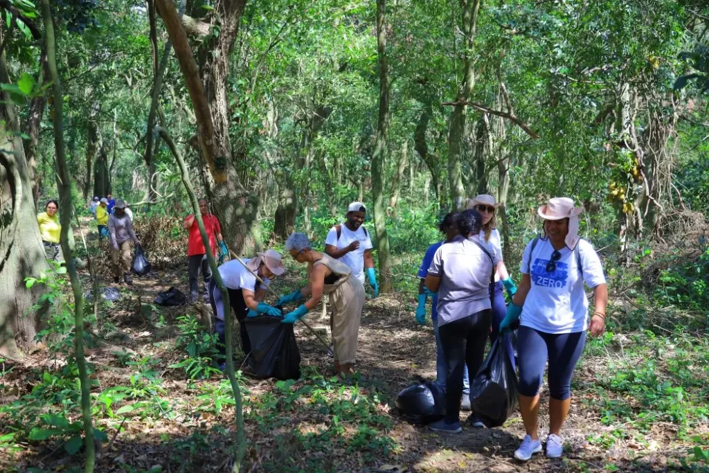 Voluntários atuam na coleta de resíduos sólidos em área de mata
