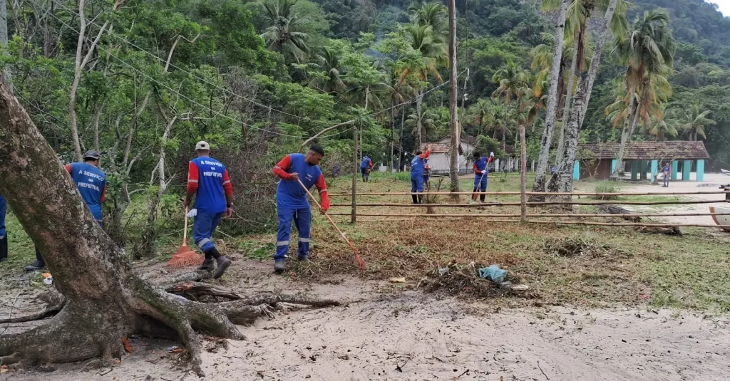 Uma equipe fazendo a roçada no mangue