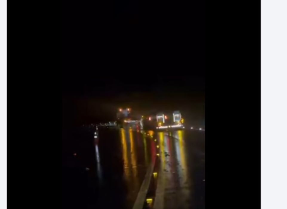 Equipes da concessionária CCR removem árvore caída na rodovia Rio-Santos