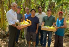 Cooperação Circular: João Leal, Júlio Lopes e Francisco Dantas ao lado de ÁlvaroHonda eoutros agricultores familiares com os produtos da agricultura de Mazomba (FOTO: RICHARD CARRASCO)